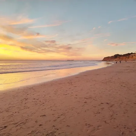 Apartment Cost 200 M To La Barrosa